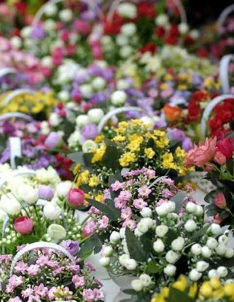 Hanoi flower markets at Tet - ảnh 5